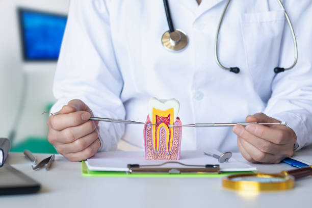 Best Urgent Care for Lost Fillings or Crowns in Mayville, NY